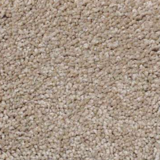 Shaw Floors Magic At Last IV 12' Shell SHAW