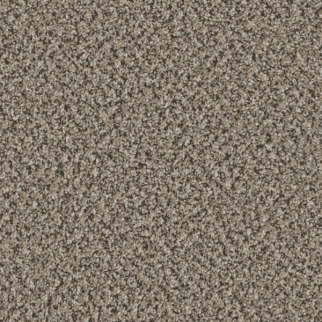 Shaw Floors High Ranking B Fairview SHAW