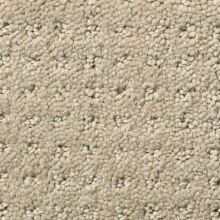 Shaw Floors Nottingham Thunder Cloud SHAW