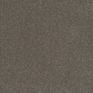 Dreamweaver Carpet Titan I Woodford DREAMWEAVER