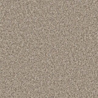 Tuftex Fabulous White Mocha SHAW