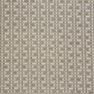 Stanton Carpet San Felipe Shell Stanton