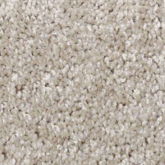 Shaw Floors Parlay Abalone SHAW