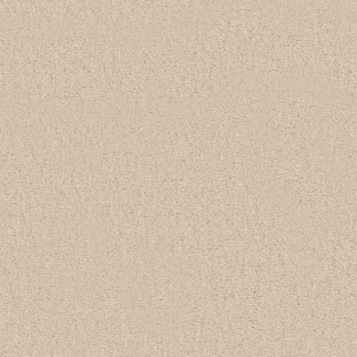 Tuftex Finery French Buff SHAW