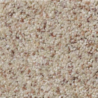 Shaw Floors What's Up Knapsack SHAW