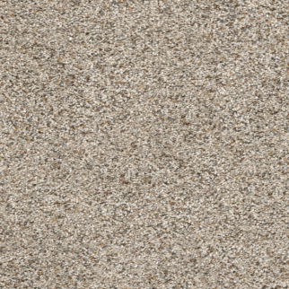 Dreamweaver Carpet Confetti I Silver Mist DREAMWEAVER