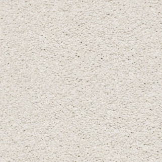 Shaw Floors Your Comfort II Whitewashed Frame SHAW