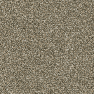 Dreamweaver Carpet Brazen I Olympic DREAMWEAVER