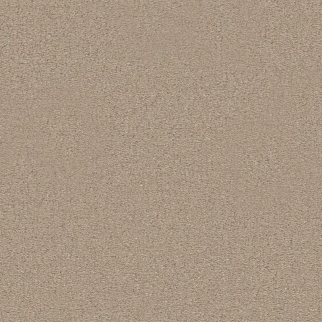 Tuftex Finery Sand Bar SHAW