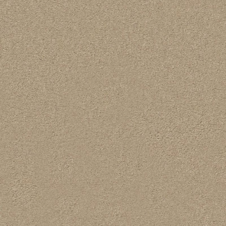 Tuftex Finery Toasted Almond SHAW