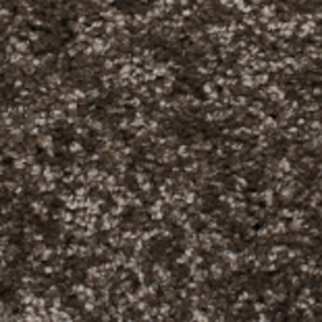 Phenix Carpets Daybreak MO Velocity PHENIX