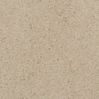 Dixie Home Soft And Silky Mountain Snow