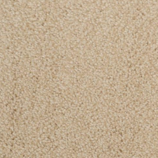 Dixie Home Morning Mist Chord