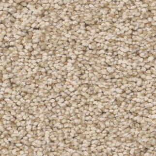 Tuftex Somerset Down Home SHAW