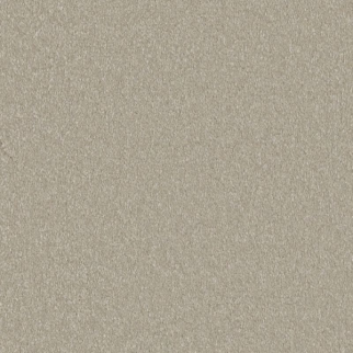 Shaw Floors Awaken Spirit II 12' Whiskers SHAW