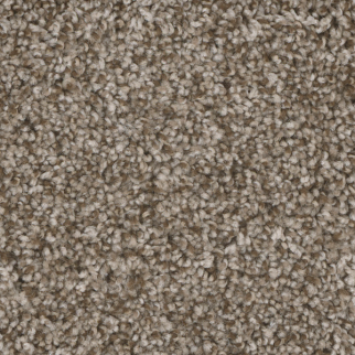 Dreamweaver Carpet Jackson Hole II Walnut Ridge DREAMWEAVER