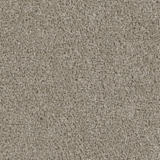 Dreamweaver Carpet Acclaim Vela DREAMWEAVER