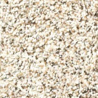 Shaw Floors Elemental Mix I Swiss Coffee SHAW