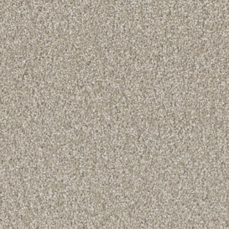 Dreamweaver Carpet Broadcast Plus Cameo DREAMWEAVER