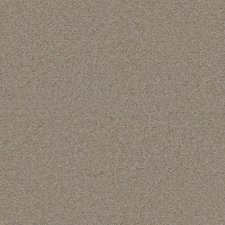 Dreamweaver Carpet Exceptional II Cameo DREAMWEAVER