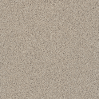 Dreamweaver Carpet Hot Pursuit Cameo DREAMWEAVER