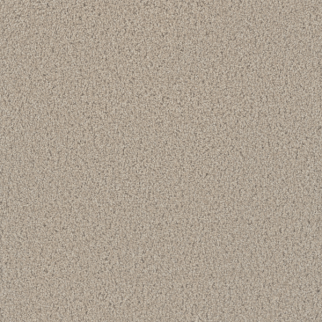 Dreamweaver Carpet Tracker Cameo DREAMWEAVER