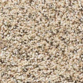 Shaw Floors Elemental Mix II Sand Castle SHAW