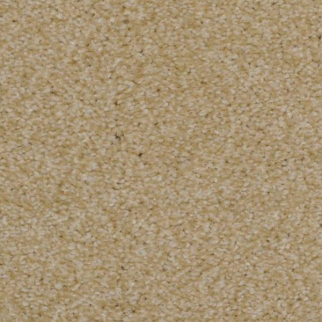 Dixie Home Spellbinding Sand Dune