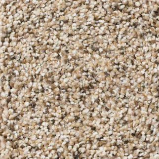 Shaw Floors Elemental Mix I Twine SHAW