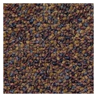 Kraus Commercial Bradford Grapevine KRAUS