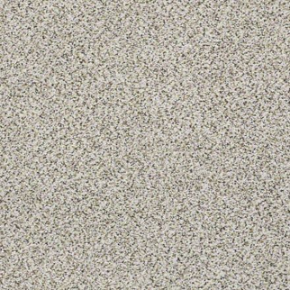 Shaw Floors Elemental Mix III Showbound SHAW