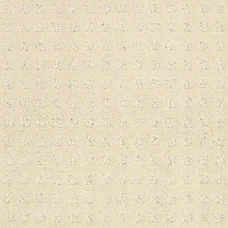 Shaw Floors Alluring Disposition Treasure SHAW