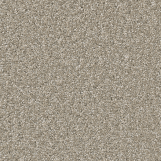 Dreamweaver Carpet Broadcast Plus Clam Shell DREAMWEAVER