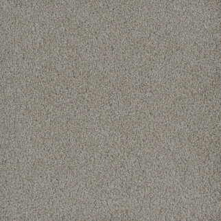 Dreamweaver Carpet Hammond Creek II Clam Shell DREAMWEAVER