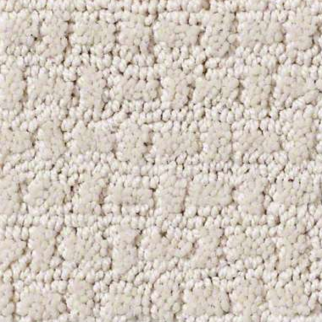 Shaw Floors Complete Control Sentimental SHAW