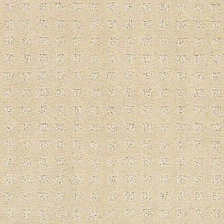 Shaw Floors Alluring Disposition Shoreline SHAW