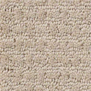 Shaw Floors Complete Control Boutique SHAW