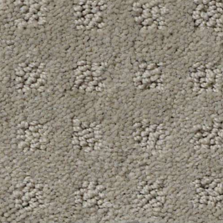 Shaw Floors Nottingham Platinum Mist SHAW