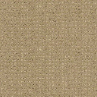 Shaw Floors Alluring Disposition Safari SHAW