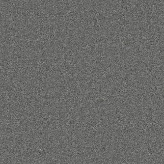Dreamweaver Carpet Broadcast Plus Granite Peaks DREAMWEAVER