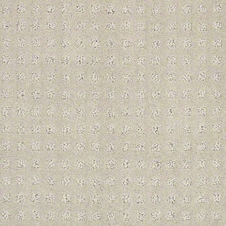 Shaw Floors Alluring Disposition Mindful SHAW