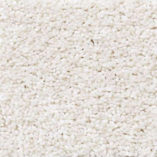 Shaw Floors Always Ready I Sentimental SHAW