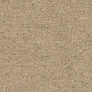 Shaw Floors Alluring Disposition Espresso SHAW