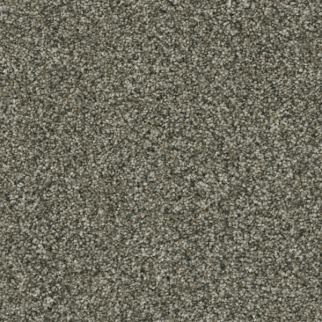 Dreamweaver Carpet Brazen I Millstone DREAMWEAVER