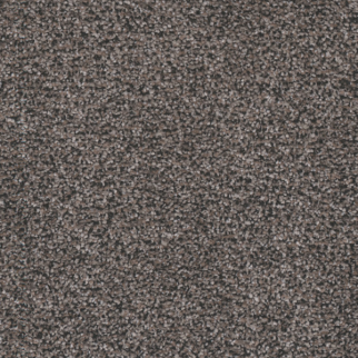 Tarkett Home Carpets Candler Park Prairie LEXMARK