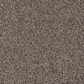 Tarkett Home Carpets Candler Park Cape Cod LEXMARK