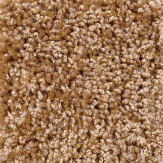 Shaw Floors One Over All Deep Ochre SHAW