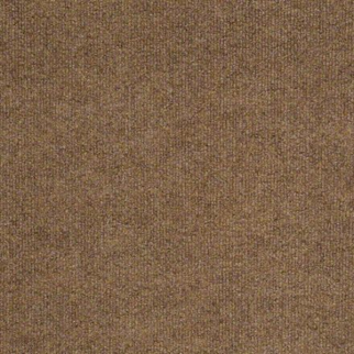 Philadelphia Commercial Windsurf Fawn Shaw