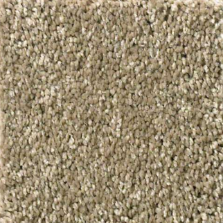 Shaw Floors Basic Rules Gold Rush SHAW