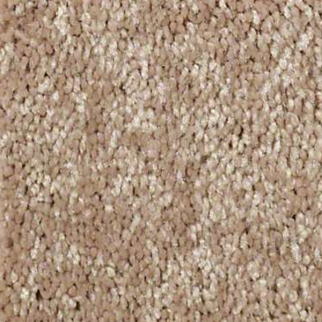 Shaw Floors Well Played I 15 Honey Comb SHAW